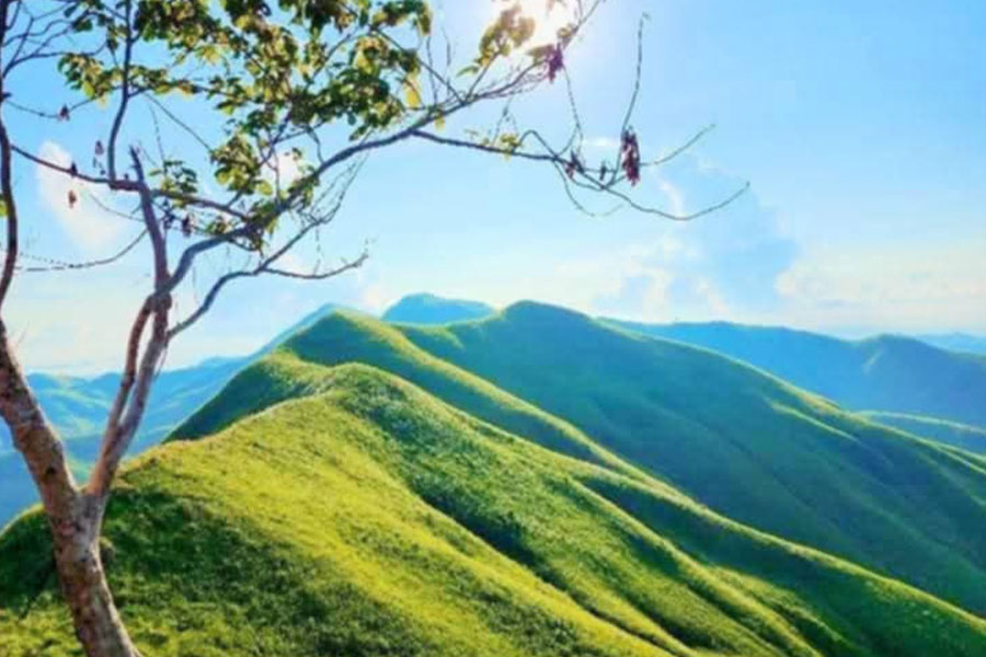 Picturesque landscape with rolling green hills