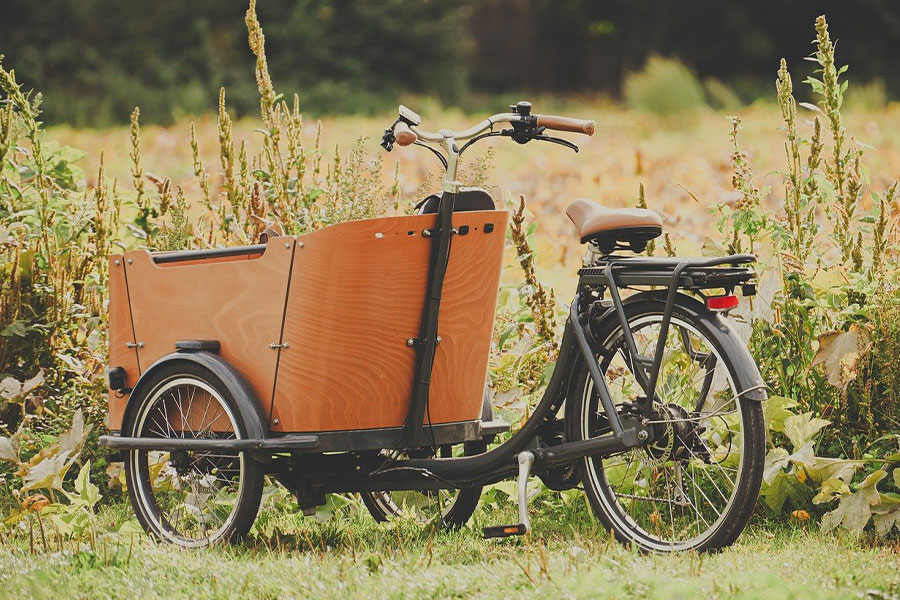The cargo bike