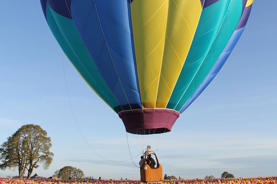 Hot air balloon above the tulips