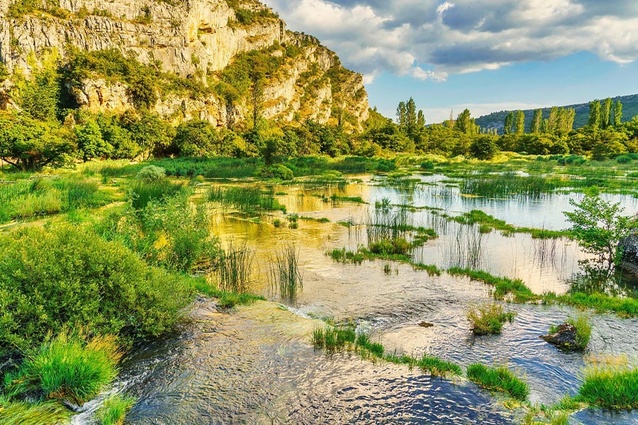 Lovely nature landscape