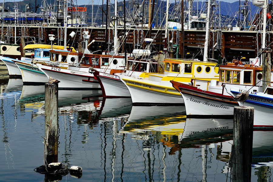 San Francisco yachts