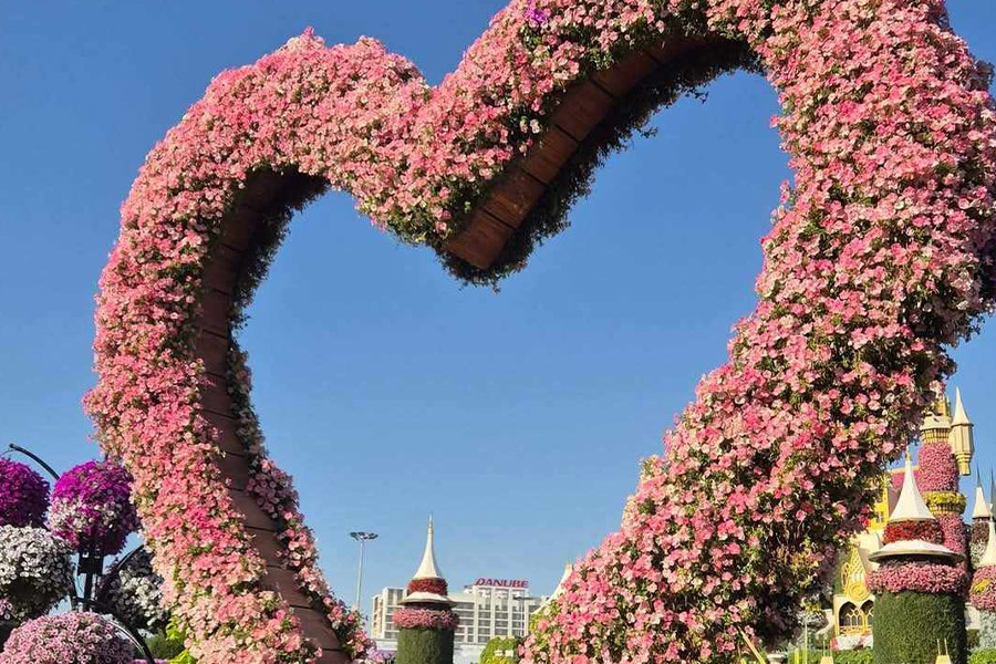 The Dubai miracle garden heart flower