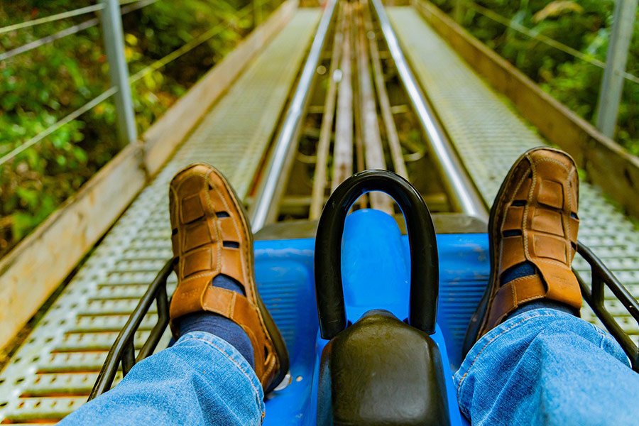 Mountain roller coaster