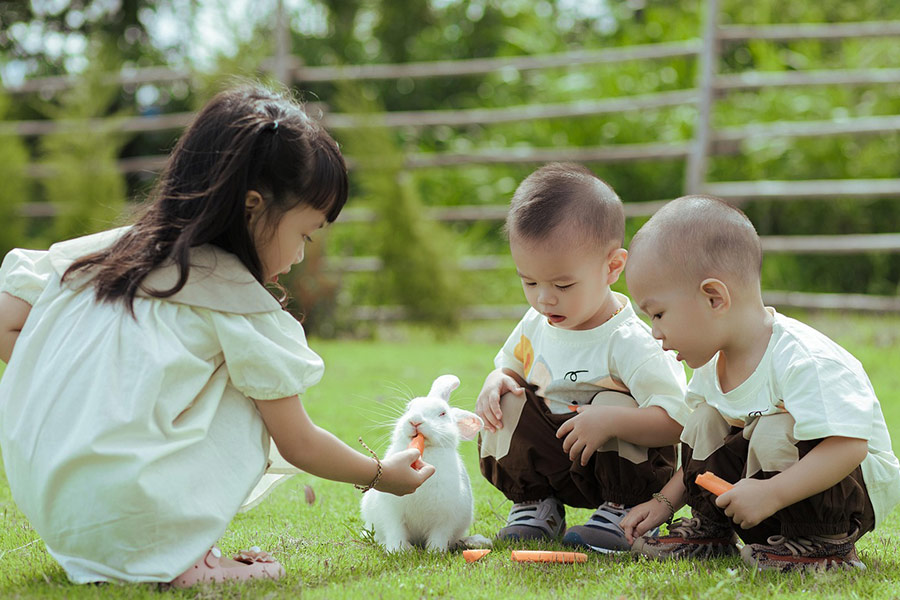 Kids feeding the rabbit