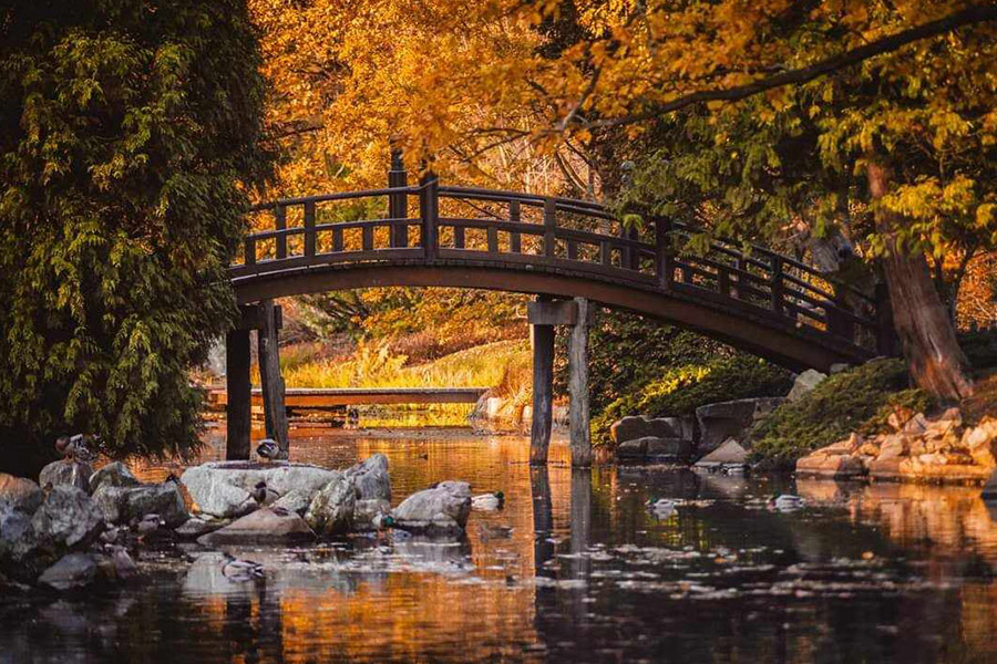 Arch bridge lake and nature