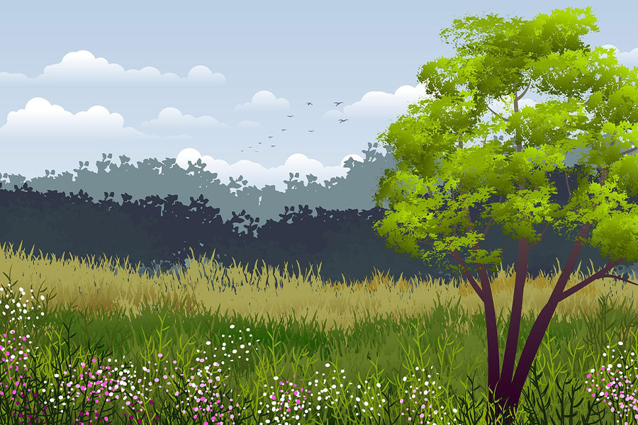 Background nature landscape art