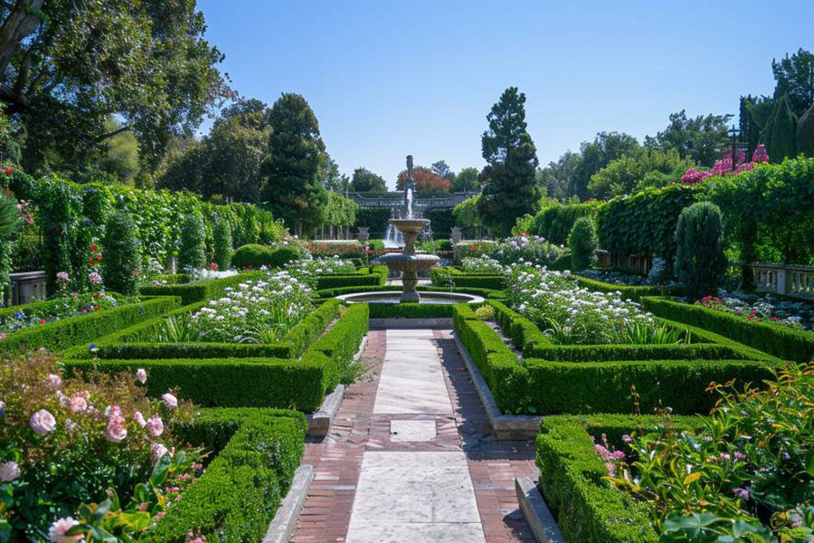 A neatly trimmed garden