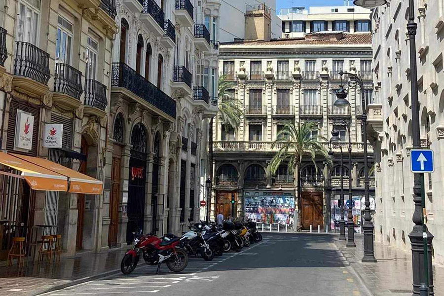 Rue ensoleillée avec des palmiers