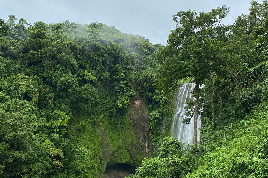 Beautiful green nature with waterfall
