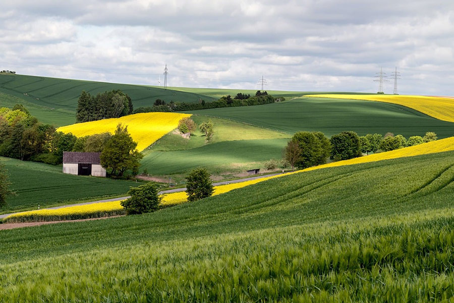 Landwirtschaft Landschaft Frühling Feld