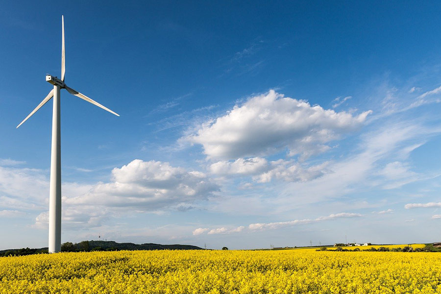 Windräder Windkraft Energie im Feld