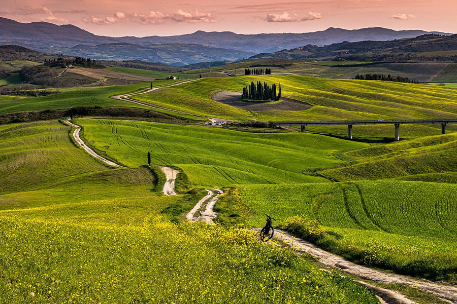 Gerstenfeldweglandschaft