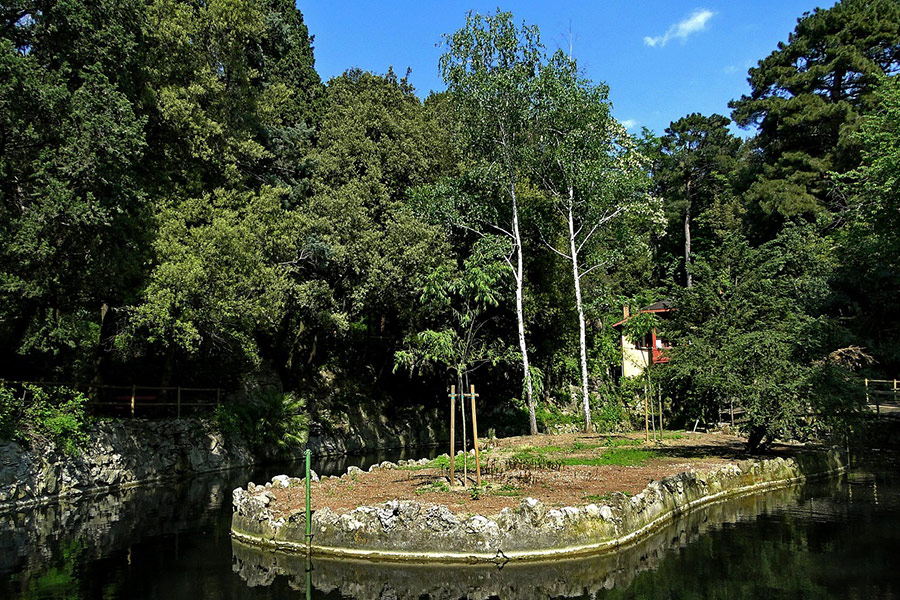Green nature peaceful water