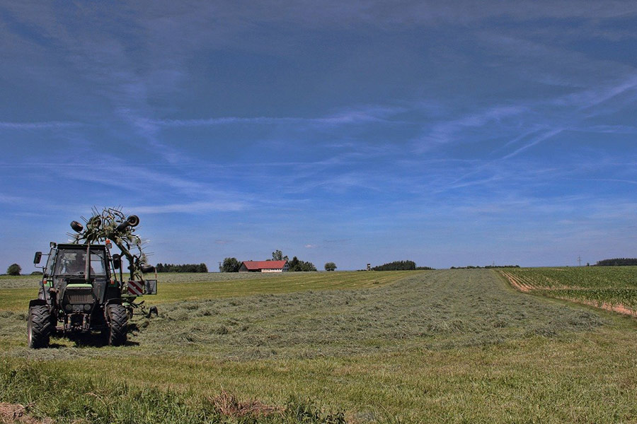 Landschaftswiesenbild