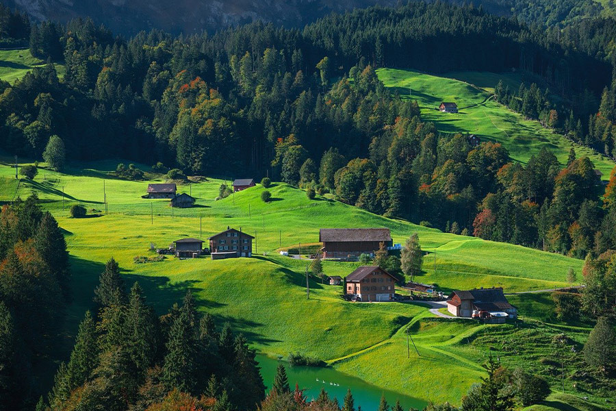Naturlandschaft Berge Wald